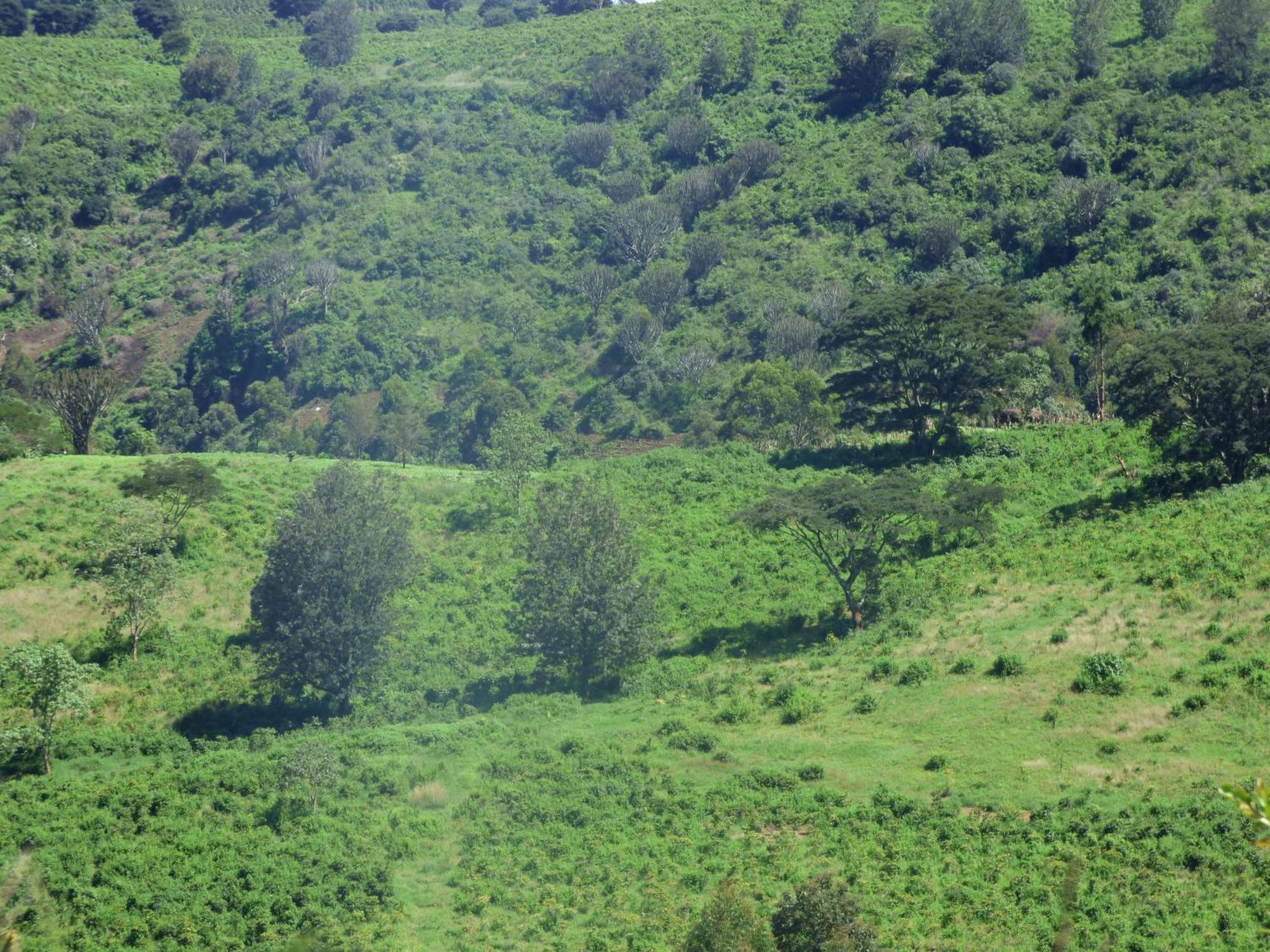 Le Pristine Wellness And Healing Hotel Nyeri Eksteriør bilde