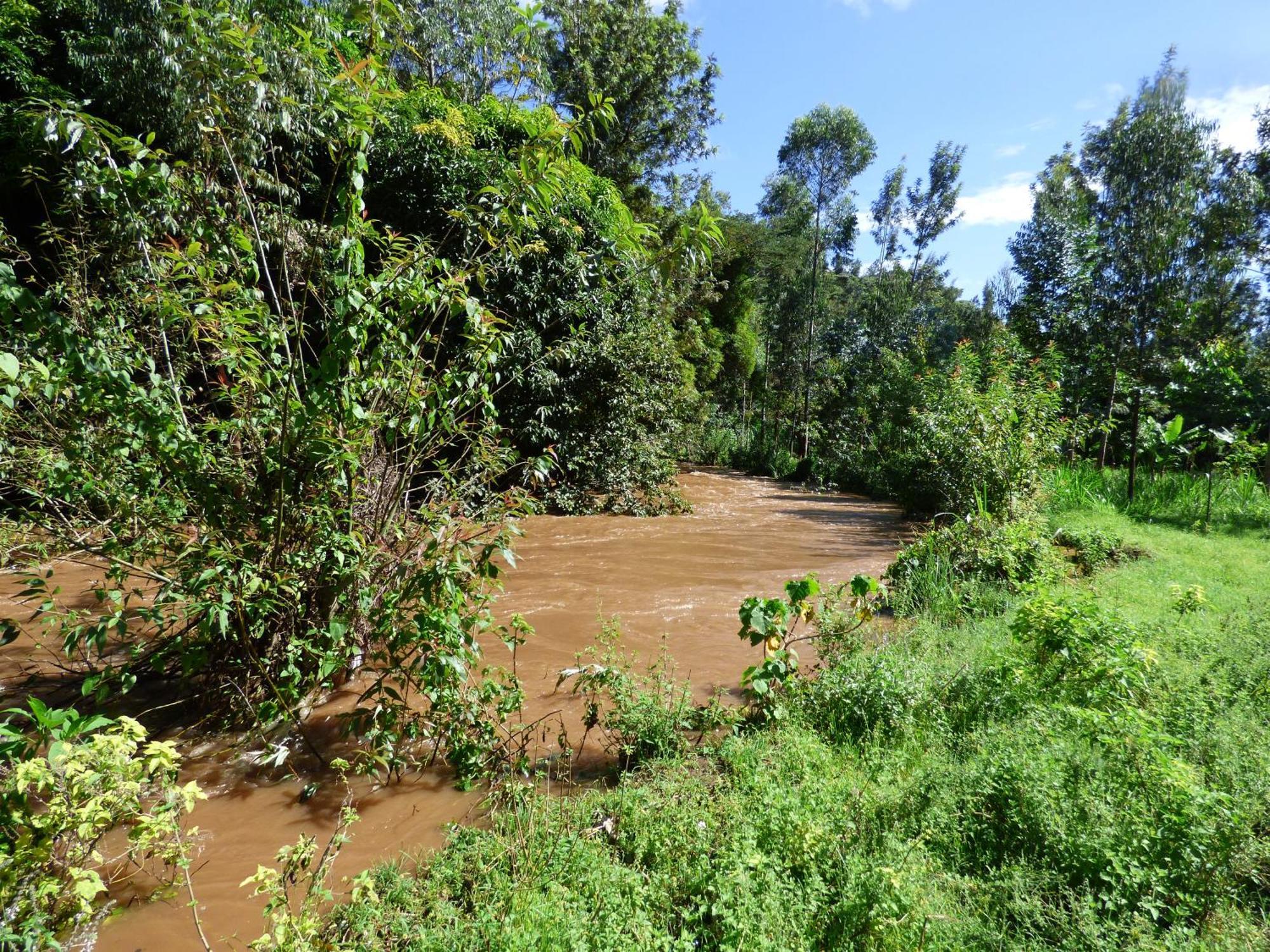 Le Pristine Wellness And Healing Hotel Nyeri Eksteriør bilde