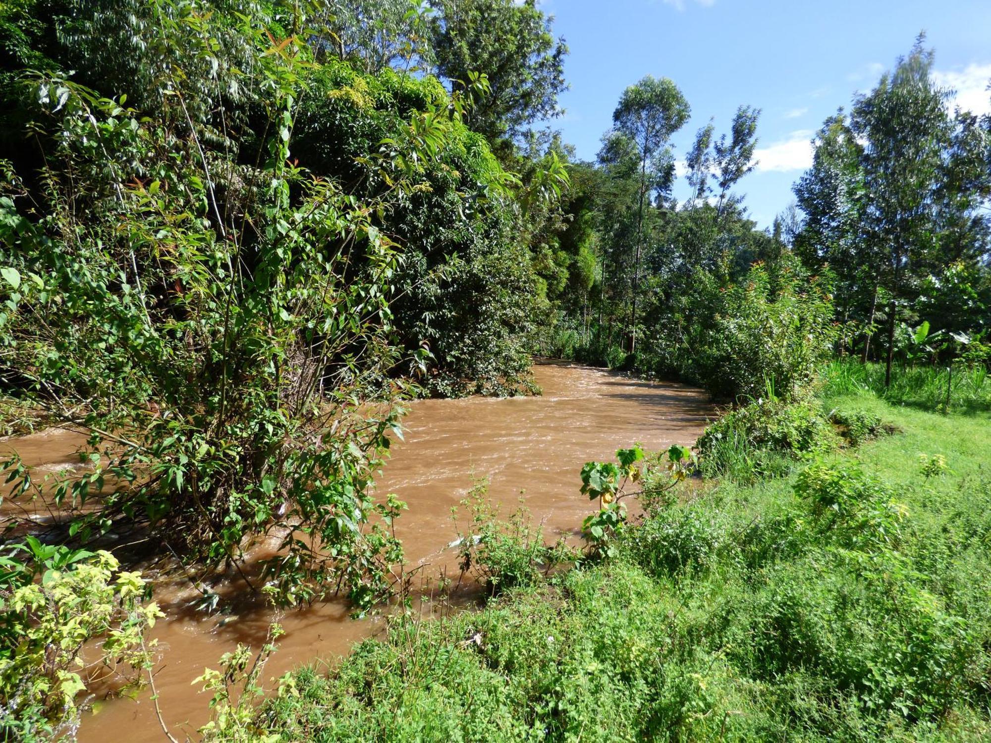 Le Pristine Wellness And Healing Hotel Nyeri Eksteriør bilde