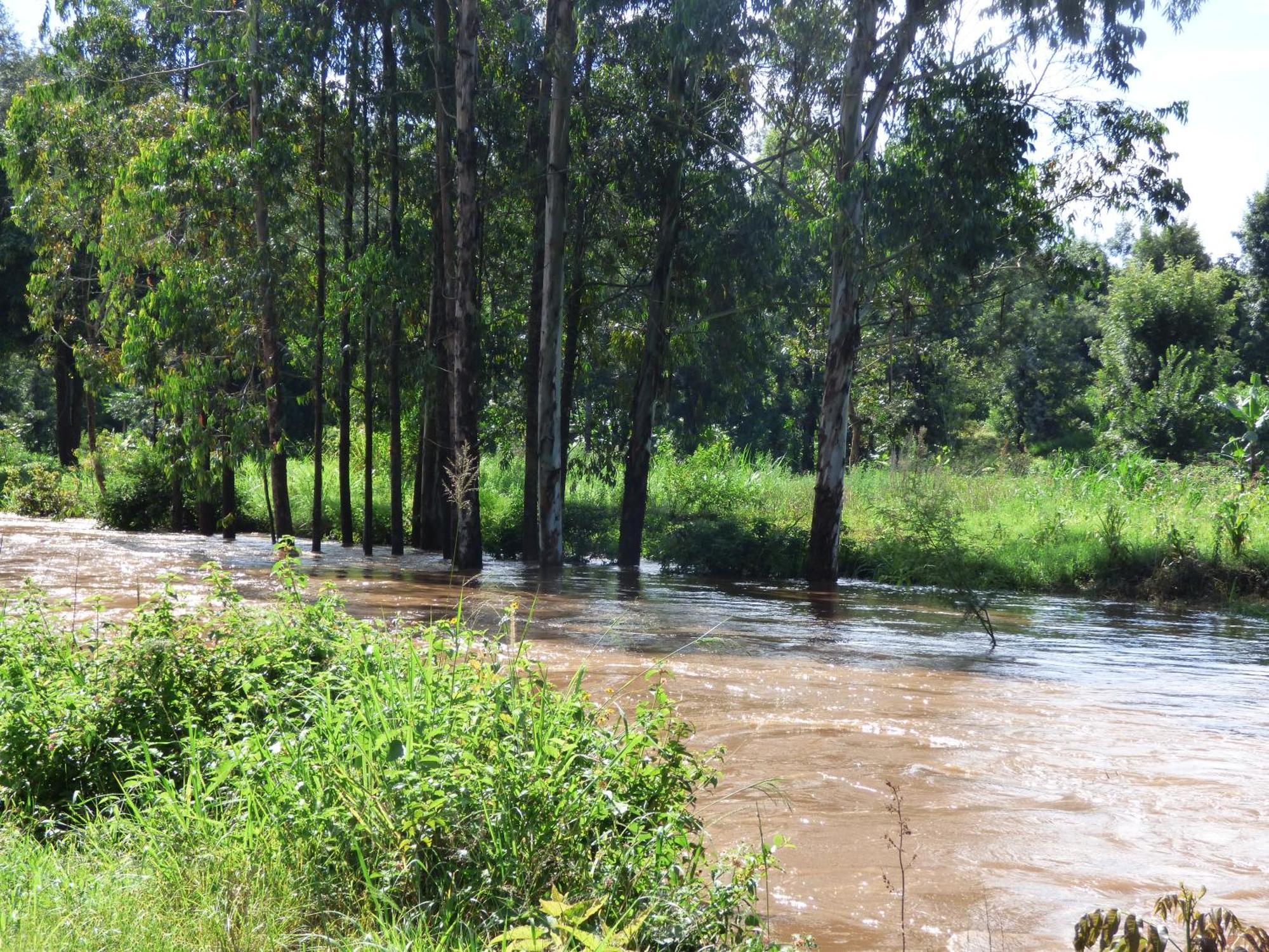 Le Pristine Wellness And Healing Hotel Nyeri Eksteriør bilde