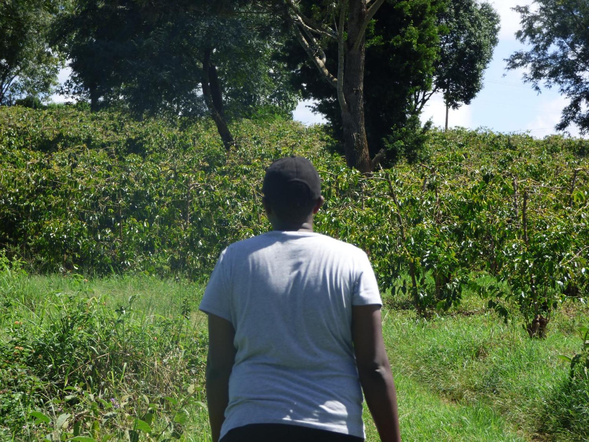 Le Pristine Wellness And Healing Hotel Nyeri Eksteriør bilde