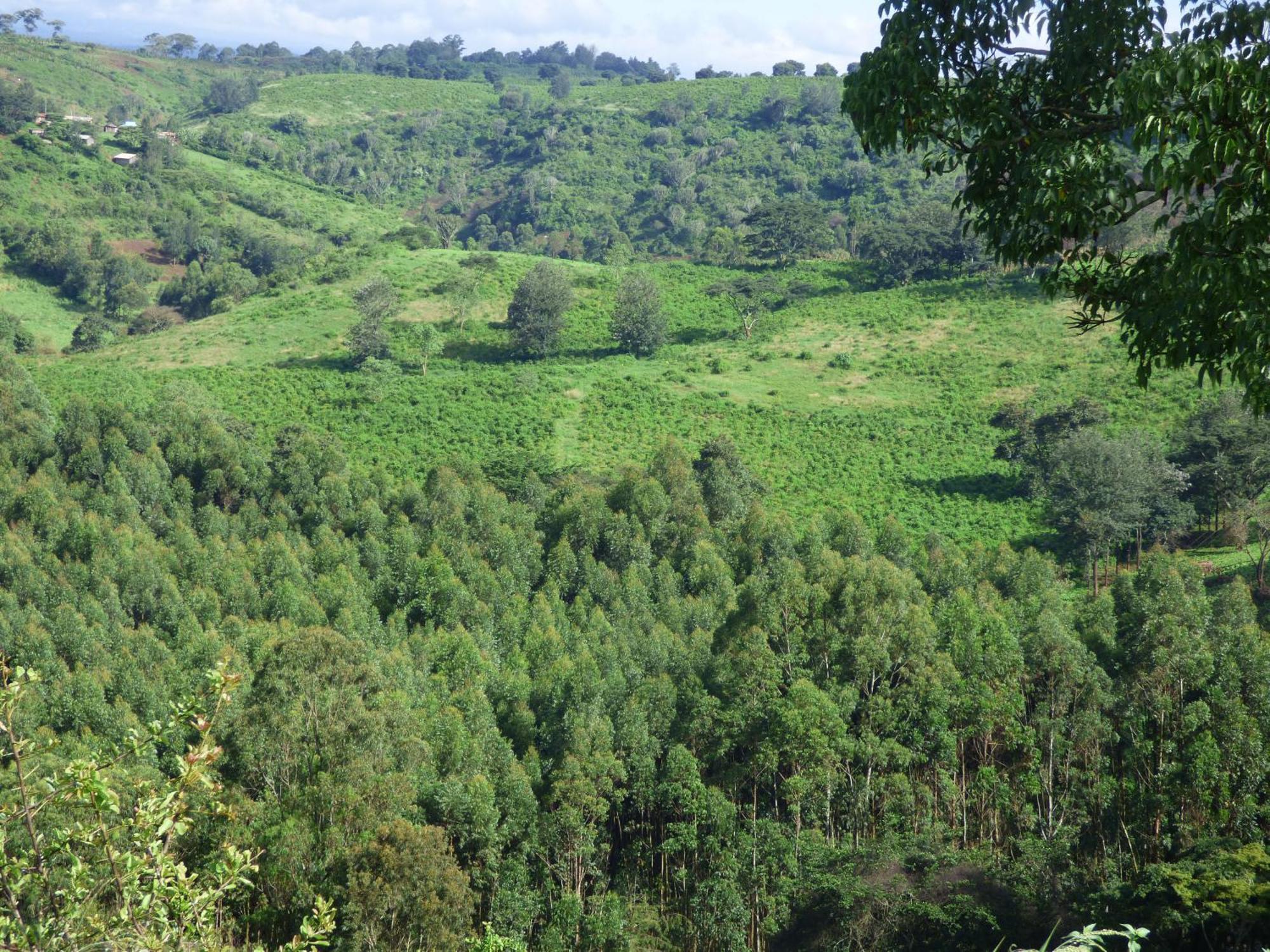 Le Pristine Wellness And Healing Hotel Nyeri Eksteriør bilde