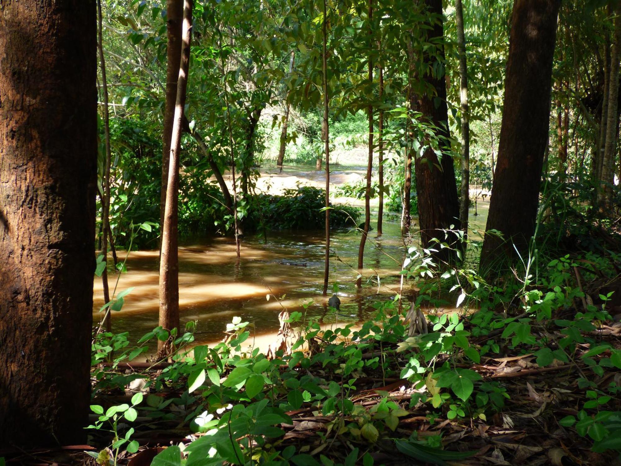Le Pristine Wellness And Healing Hotel Nyeri Eksteriør bilde