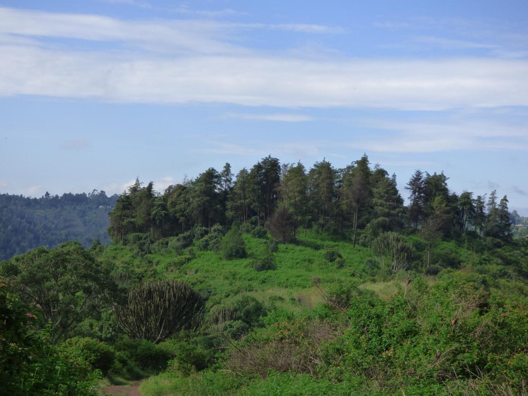 Le Pristine Wellness And Healing Hotel Nyeri Eksteriør bilde