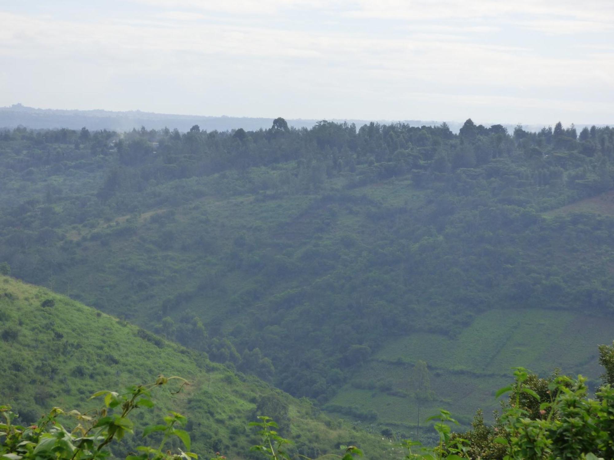 Le Pristine Wellness And Healing Hotel Nyeri Eksteriør bilde