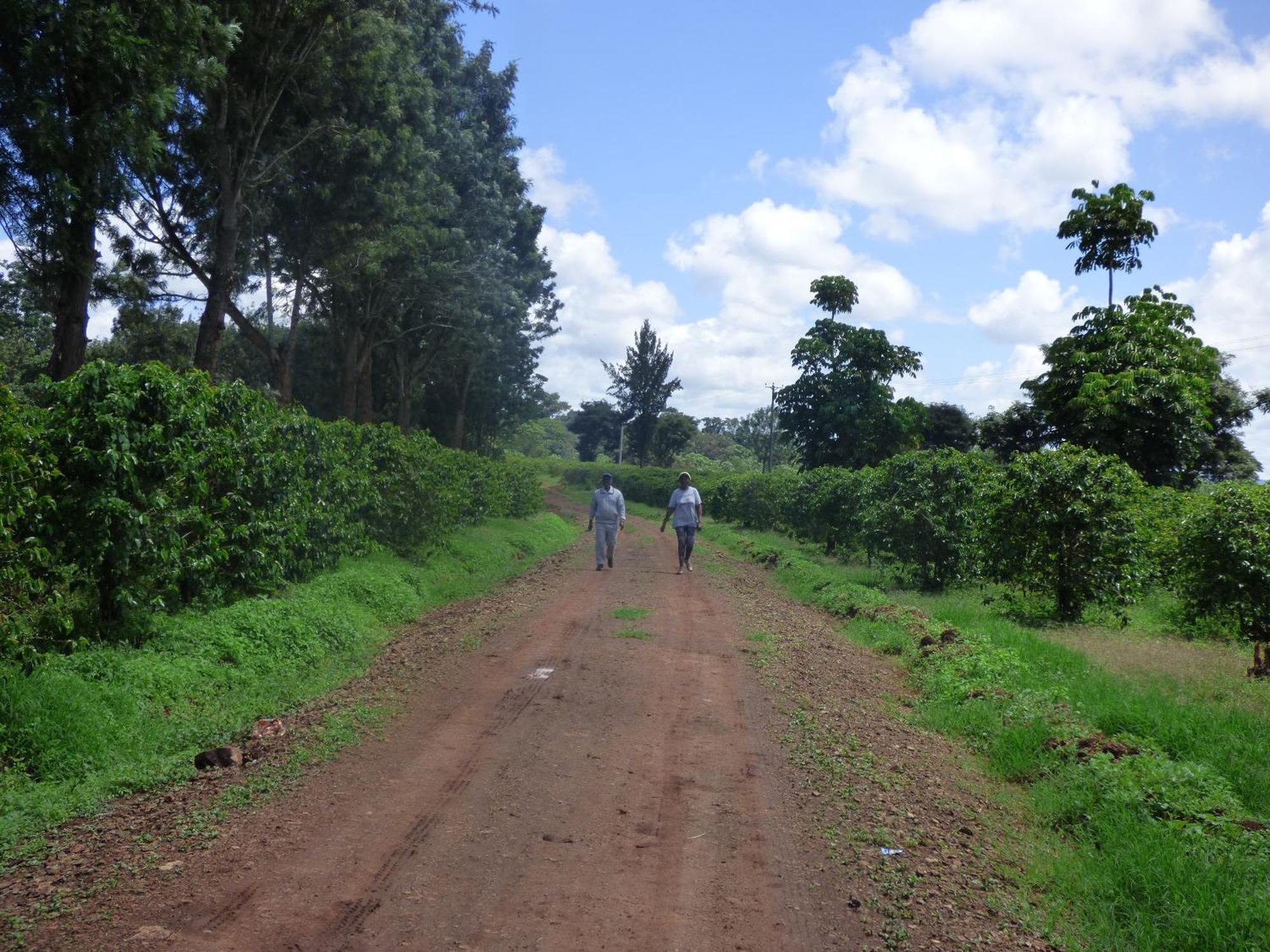 Le Pristine Wellness And Healing Hotel Nyeri Eksteriør bilde