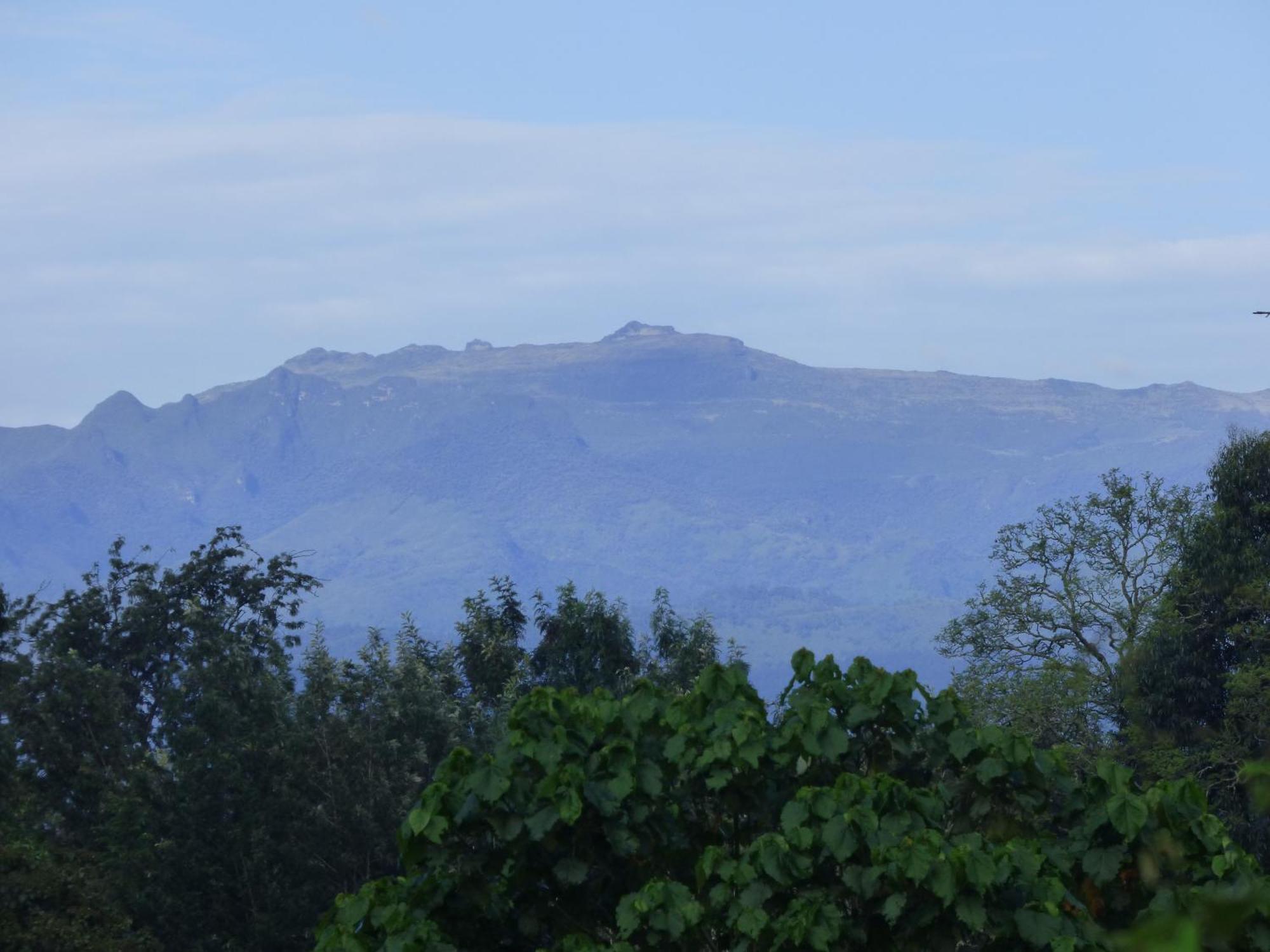 Le Pristine Wellness And Healing Hotel Nyeri Eksteriør bilde