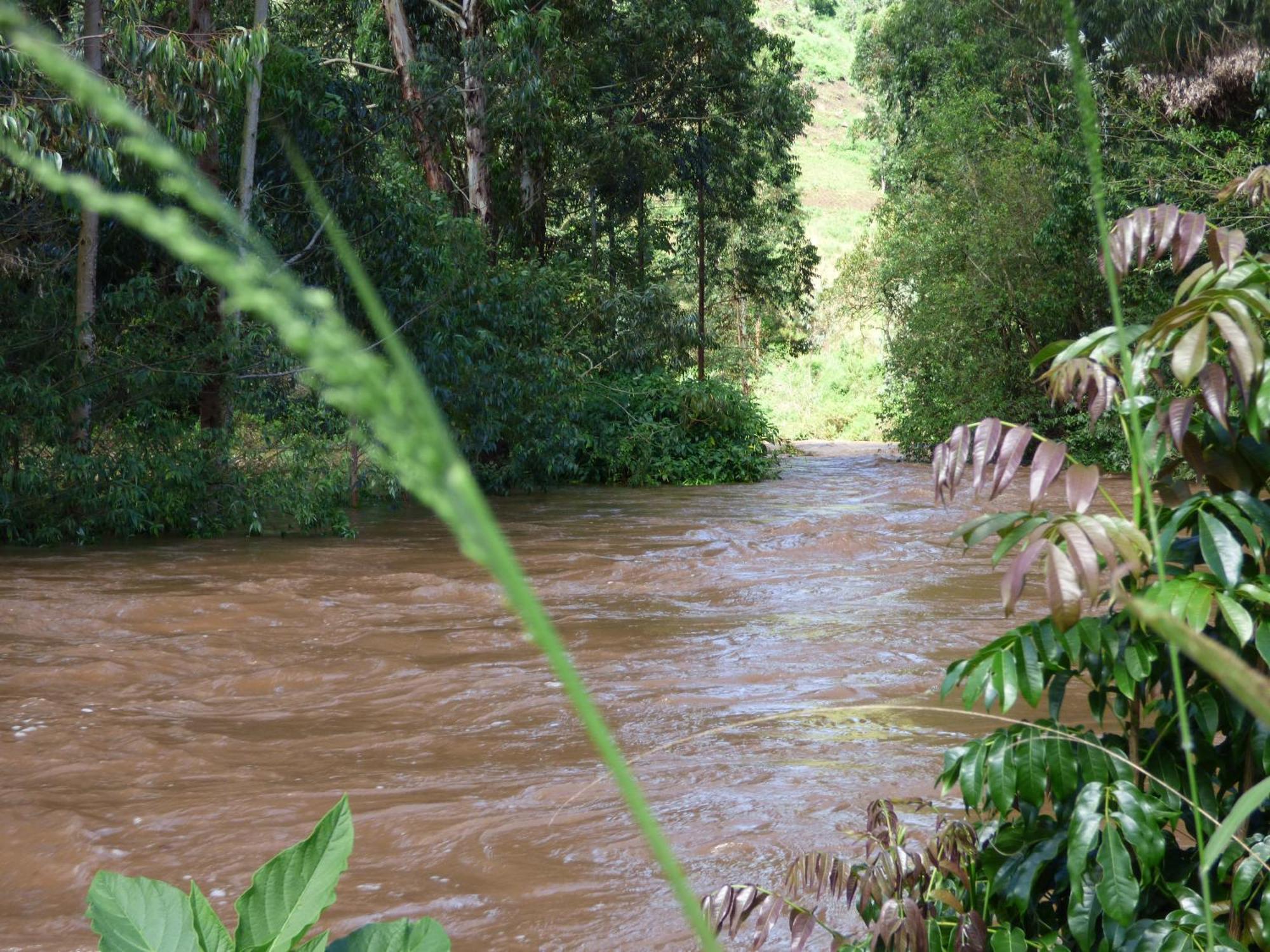 Le Pristine Wellness And Healing Hotel Nyeri Eksteriør bilde